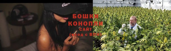 ГАЛЛЮЦИНОГЕННЫЕ ГРИБЫ Армянск