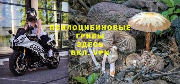 ГАЛЛЮЦИНОГЕННЫЕ ГРИБЫ Армянск