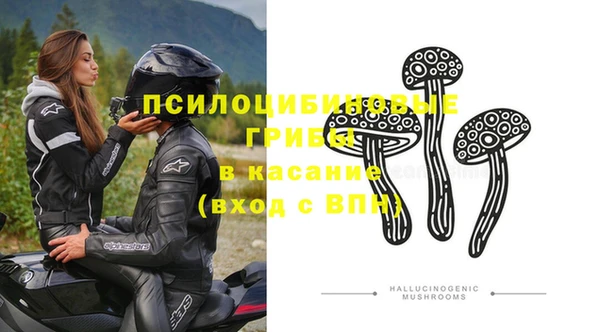 ГАЛЛЮЦИНОГЕННЫЕ ГРИБЫ Армянск