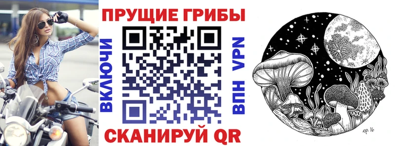 Псилоцибиновые грибы Cubensis  omg как зайти  Лихославль  купить  
